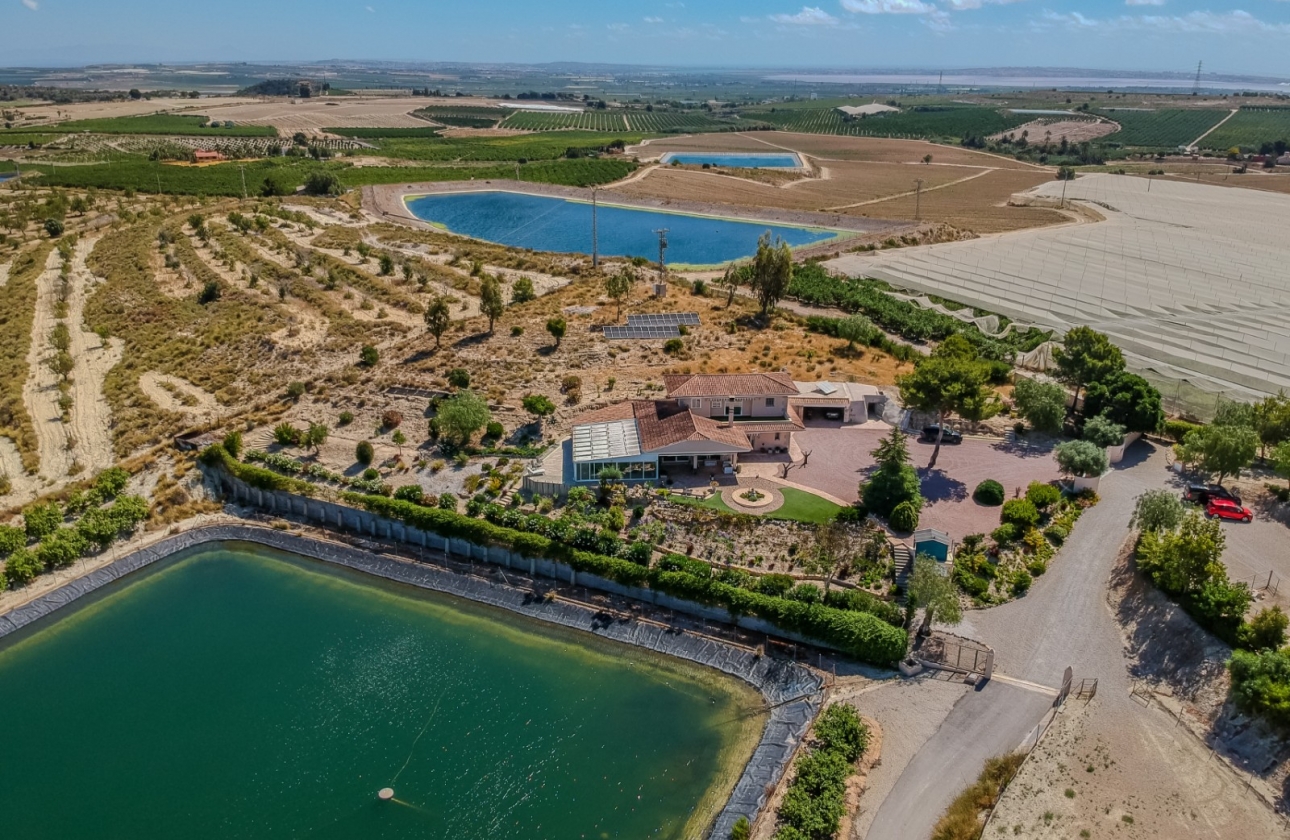 Resale - Finca / Country Property - San Miguel de Salinas - Torremendo