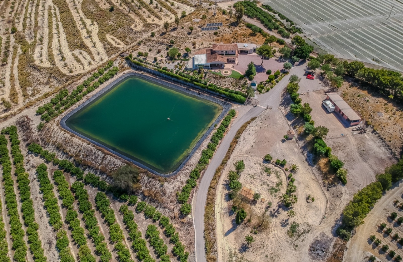Resale - Finca / Country Property - San Miguel de Salinas - Torremendo