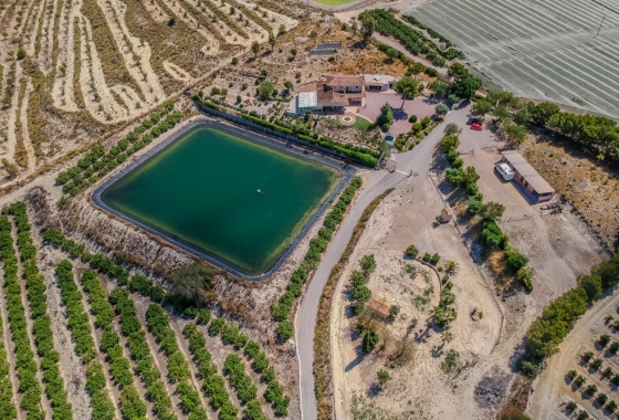 Resale - Finca / Country Property - San Miguel de Salinas - Torremendo