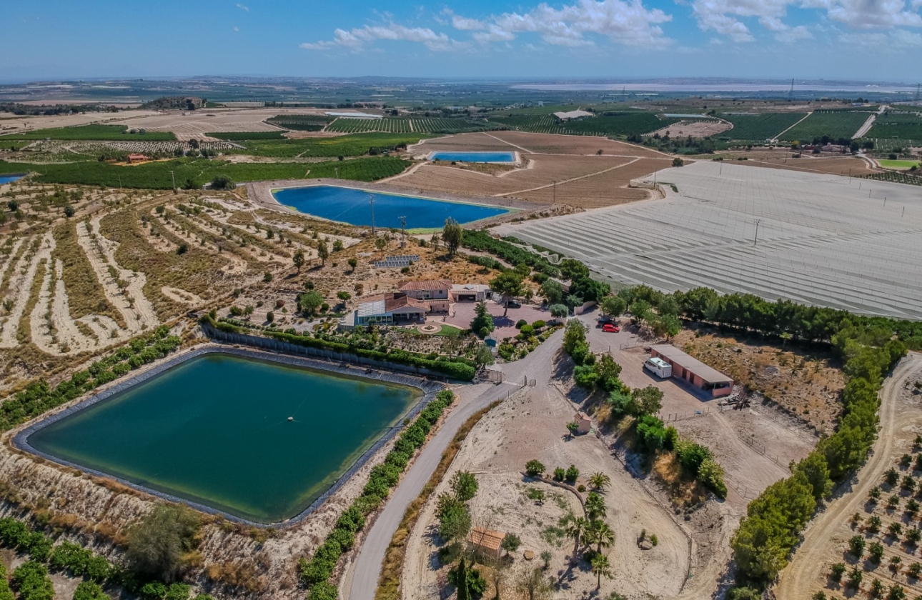 Resale - Finca / Country Property - San Miguel de Salinas - Torremendo