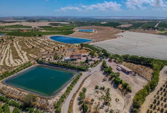Resale - Finca / Country Property - San Miguel de Salinas - Torremendo