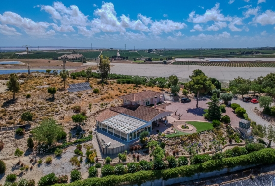 Resale - Finca / Country Property - San Miguel de Salinas - Torremendo