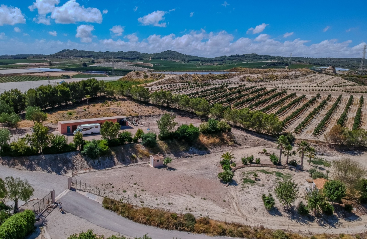 Resale - Finca / Country Property - San Miguel de Salinas - Torremendo
