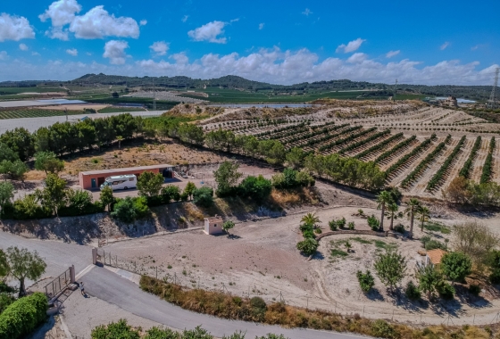 Resale - Finca / Country Property - San Miguel de Salinas - Torremendo