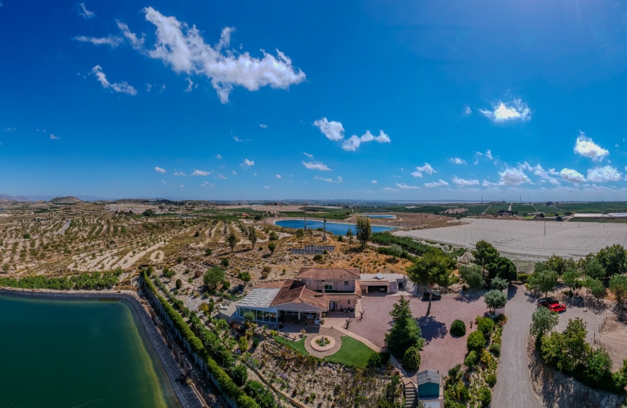 Resale - Finca / Country Property - San Miguel de Salinas - Torremendo