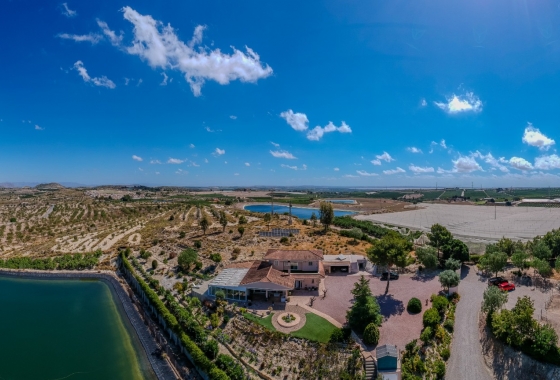 Resale - Finca / Country Property - San Miguel de Salinas - Torremendo