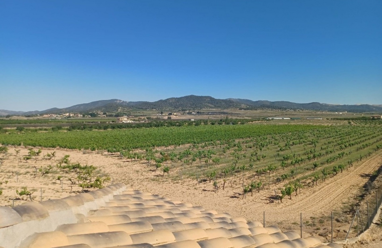 Revente - Villa - Pinoso