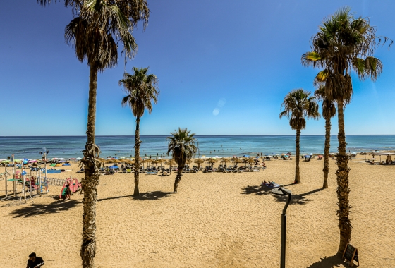 Reventa - Apartamento / piso - La Mata