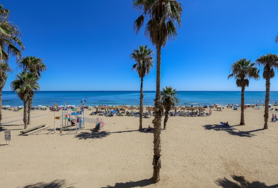Reventa - Apartamento / piso - La Mata