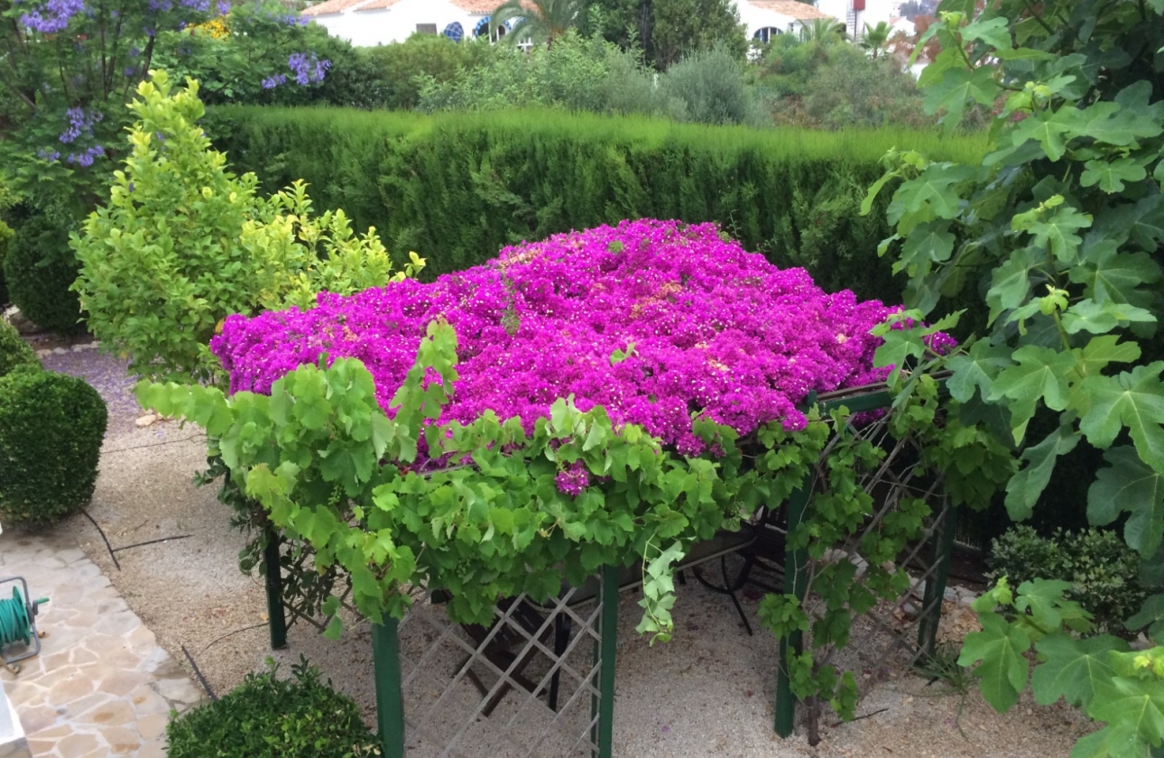 Revente - Villa - Jávea - Cansalades