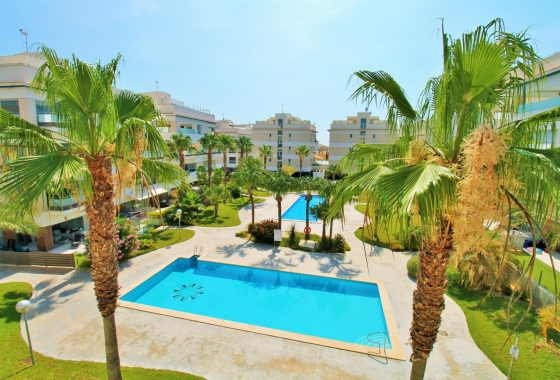 Revente - Appartement - Villamartin - Los Dolses