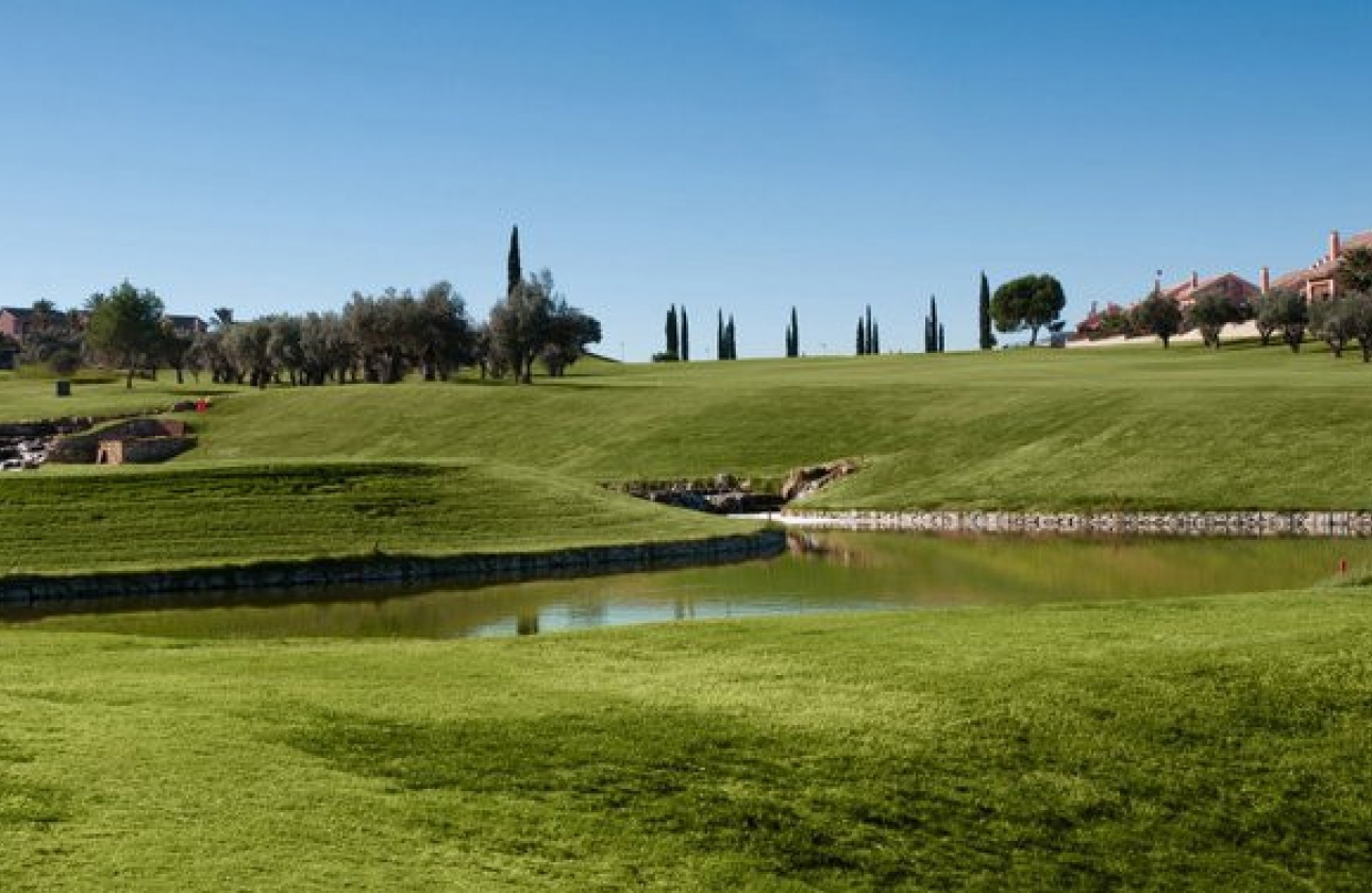 Revente - Maison - Algorfa - La finca Golf