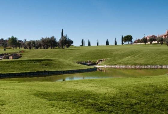 Revente - Maison - Algorfa - La finca Golf