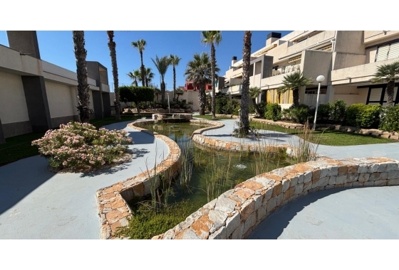 Revente - Appartement - Torrevieja - La Mata