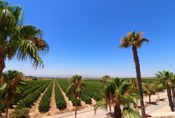 Revente - Villa - Algorfa - La finca Golf