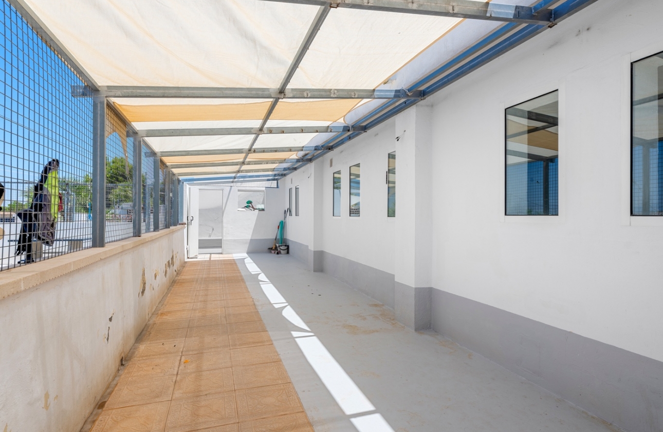 Revente - Finca / Country Property - Los Montesinos - La Herrada