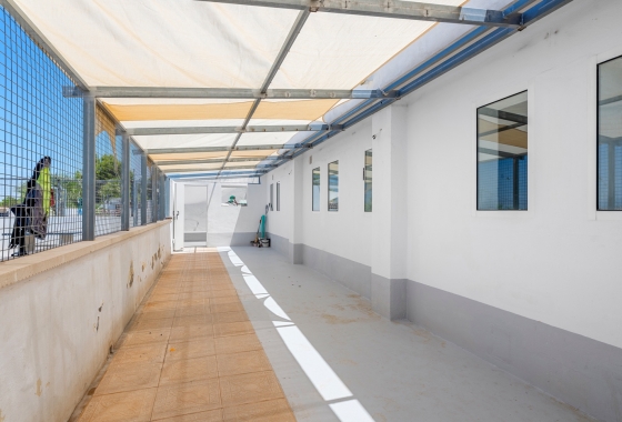 Revente - Finca / Country Property - Los Montesinos - La Herrada