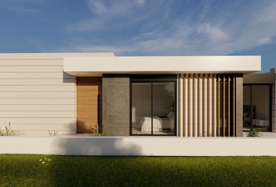 Obra nueva - Villa - Pilar de la Horadada