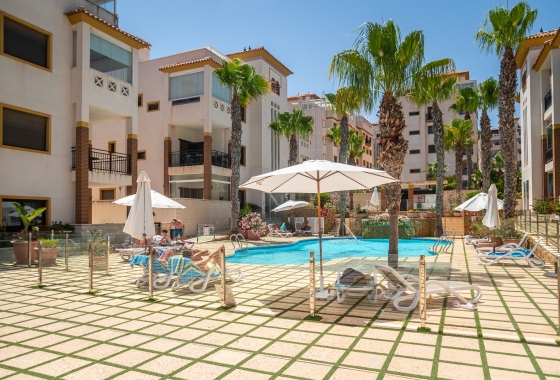 Herverkoop - Appartement / flat - Guardamar del Segura