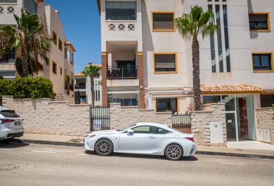 Herverkoop - Appartement / flat - Guardamar del Segura