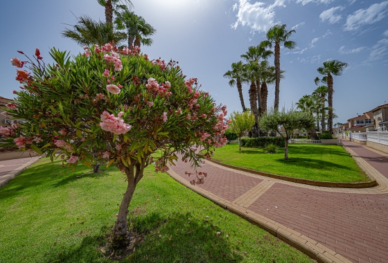 Resale - Apartment / flat - Playa Flamenca - Zenia Mar