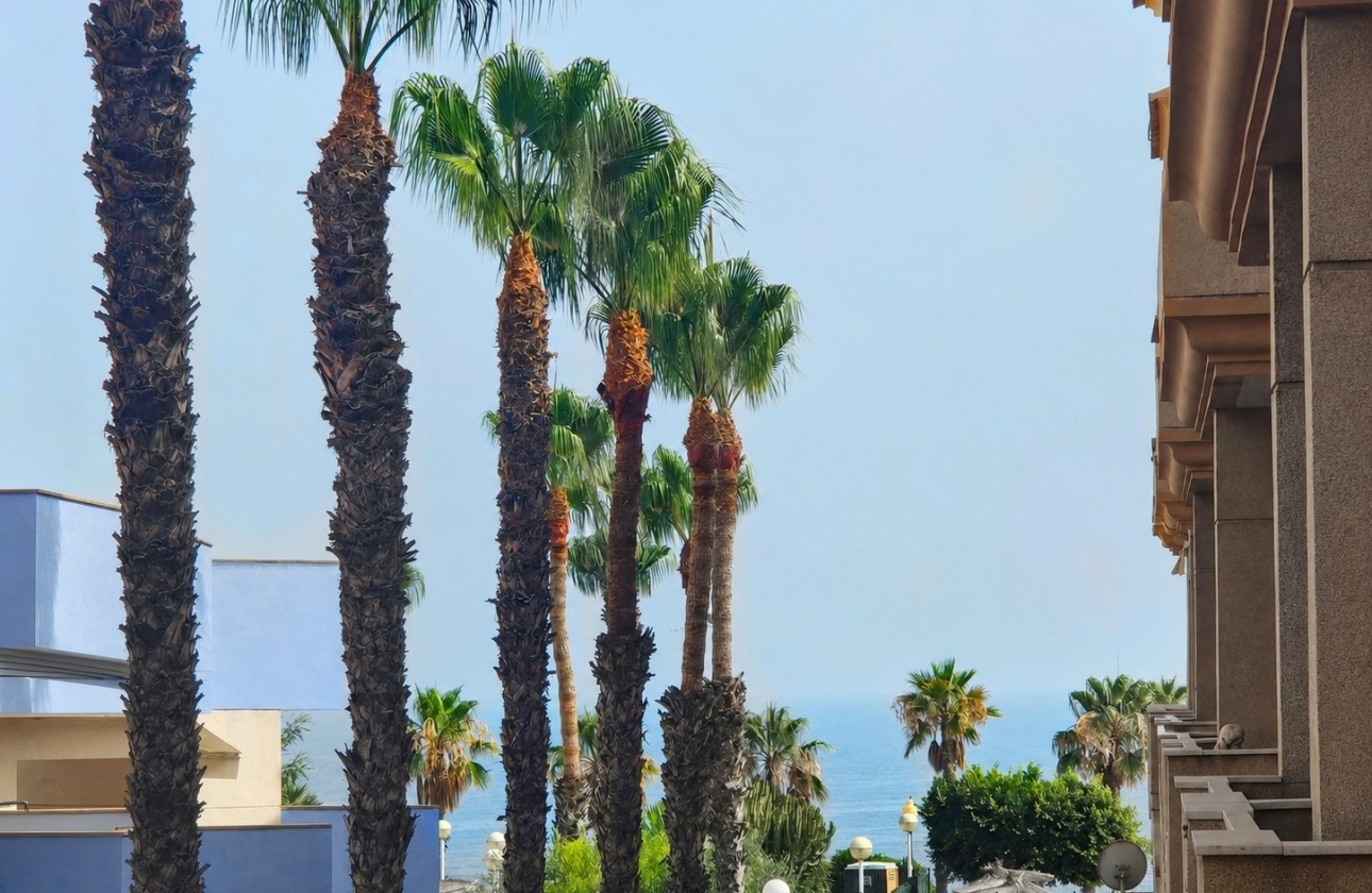 Wiederverkauf - Wohnung - Orihuela Costa - Aguamarina