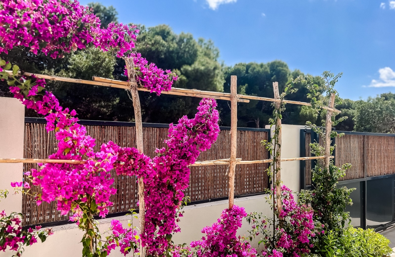 Resale - Apartment / flat - San Javier - Santiago de la Ribera