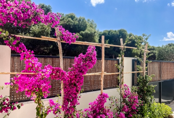 Resale - Apartment / flat - San Javier - Santiago de la Ribera