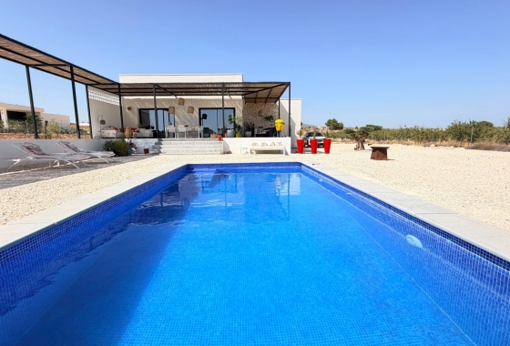 Wiederverkauf - Villa - Pinoso