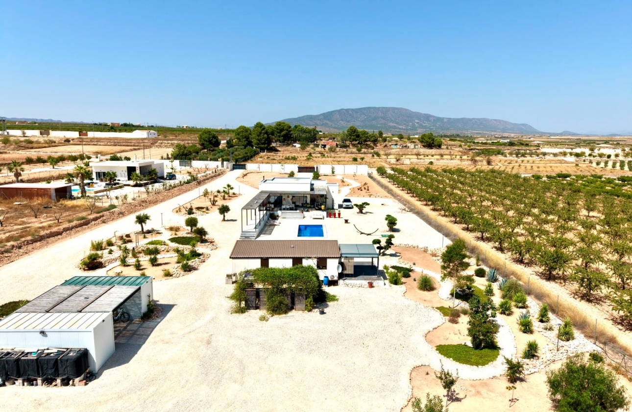 Wiederverkauf - Villa - Pinoso