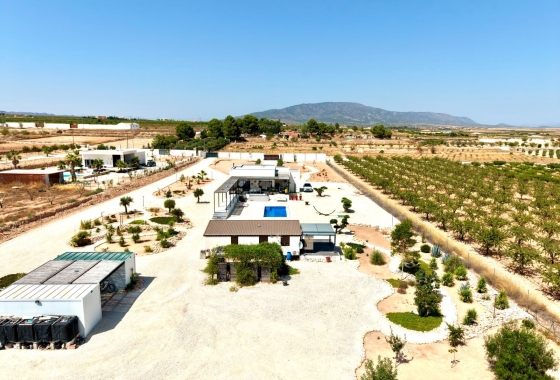 Wiederverkauf - Villa - Pinoso