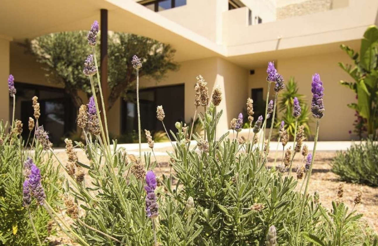Nieuwbouw Woningen - Villa - La Marina
