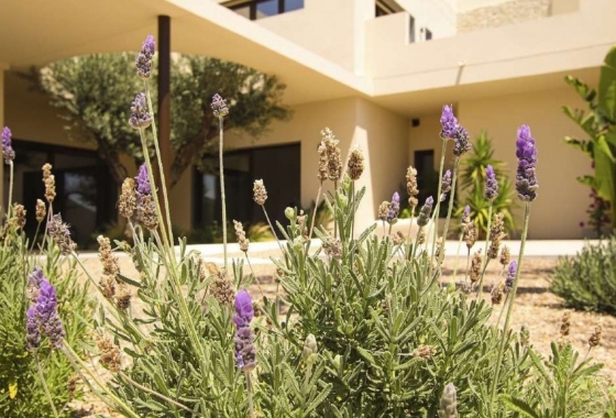 Nieuwbouw Woningen - Villa - La Marina