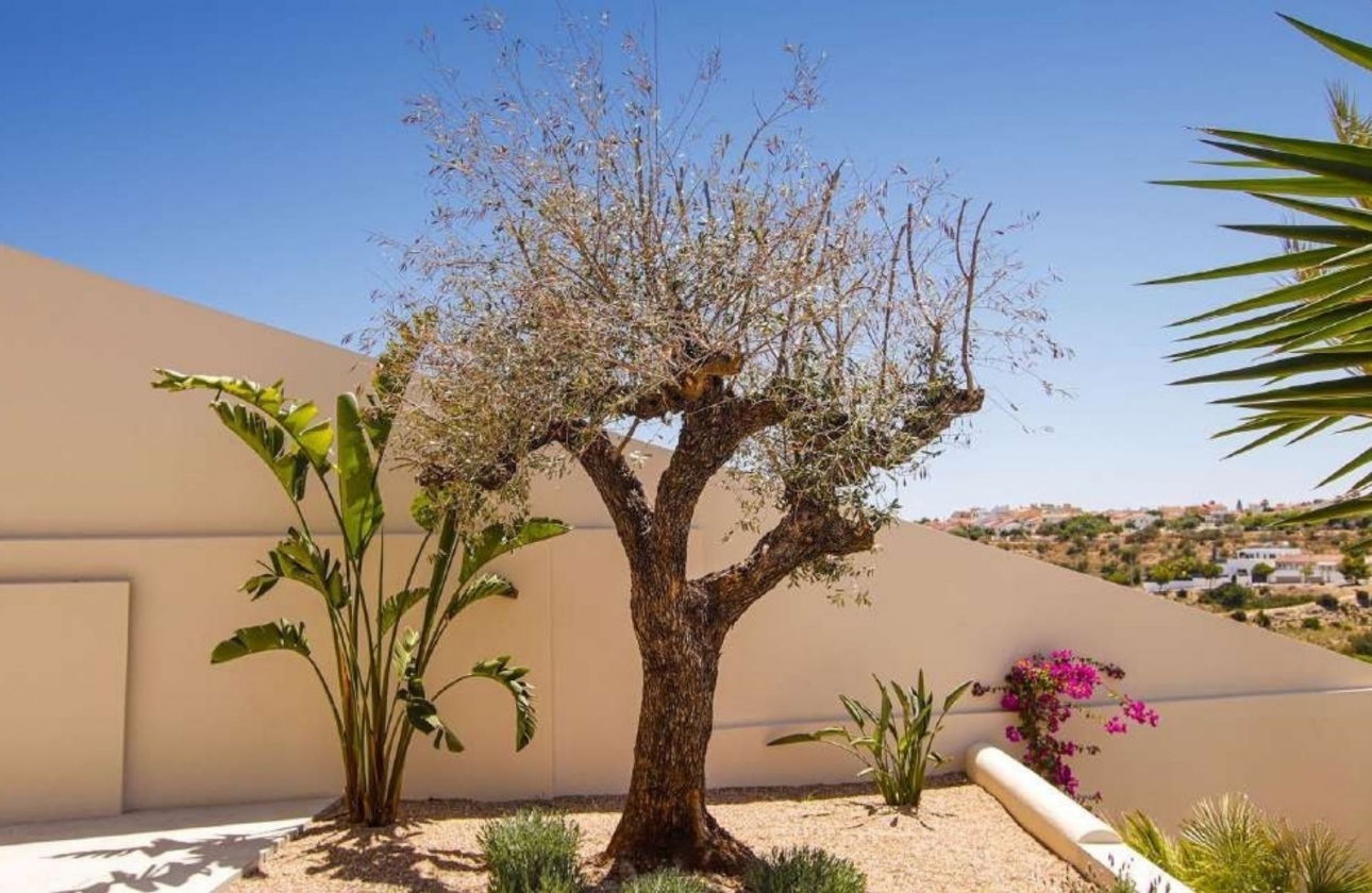 Nieuwbouw Woningen - Villa - La Marina