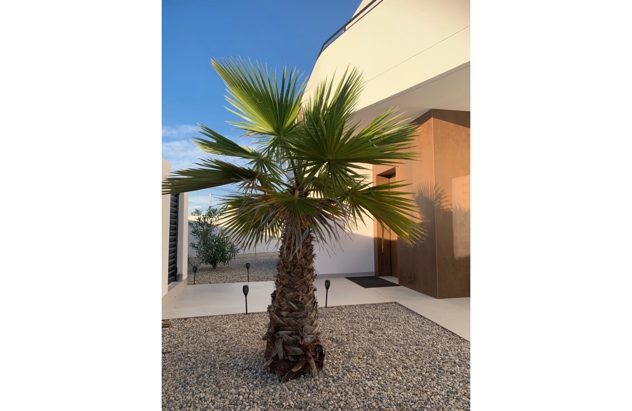 Revente - Villa - Ciudad Quesada - Rojales