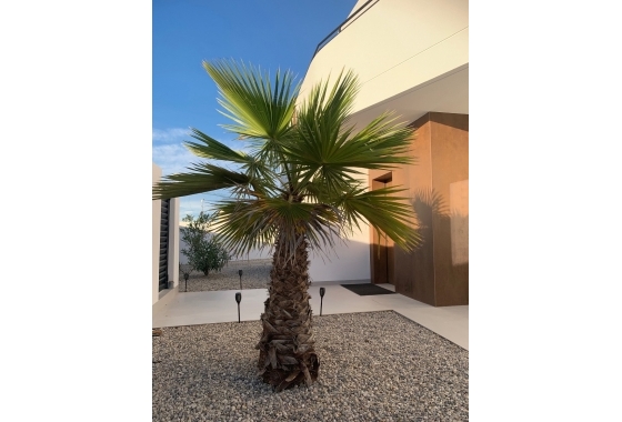 Revente - Villa - Ciudad Quesada - Rojales