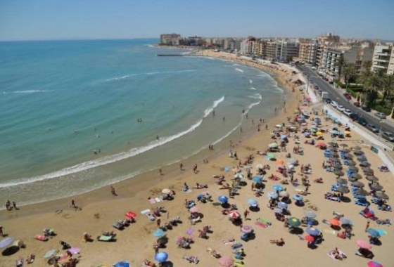 Obra nueva - Ático - Torrevieja - Habaneras