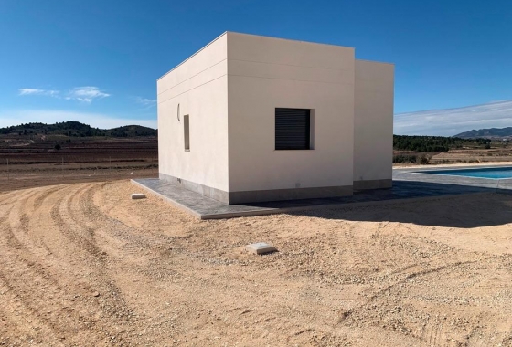 Obra nueva - Villa - Pinoso - Camino Del Prado