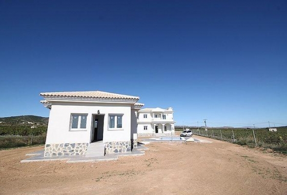 Obra nueva - Villa - Pinoso - Camino Del Prado