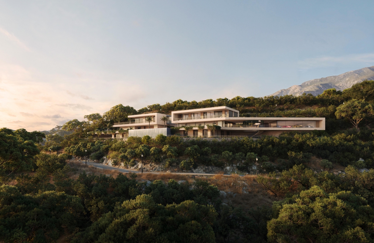 Obra nueva - Villa - Montemayor