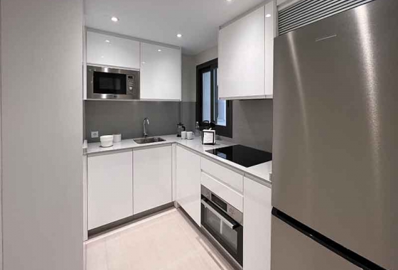 New Build - Penthouse - Almayate