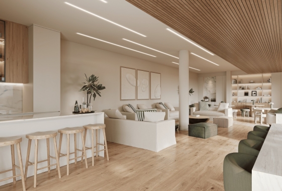 Nouvelle construction - Attique - Casares Costa