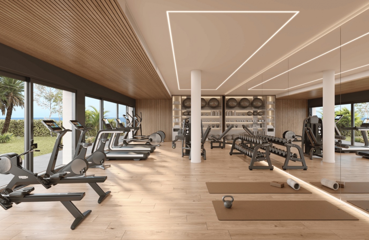Nouvelle construction - Attique - Casares Costa