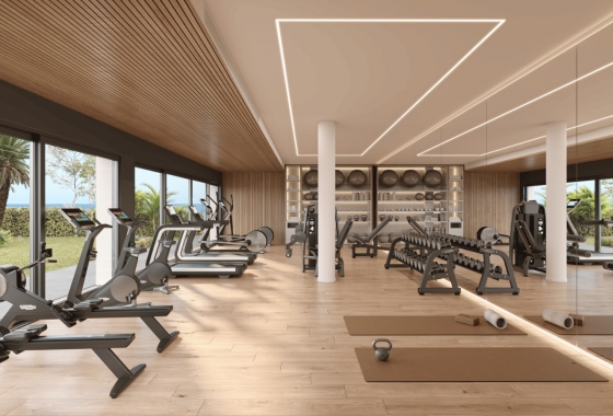 Nouvelle construction - Attique - Casares Costa