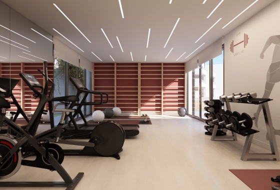 Obra nueva - Apartamento / piso - Casares