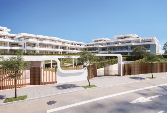 Obra nueva - Ground floor apartment - Reinoso