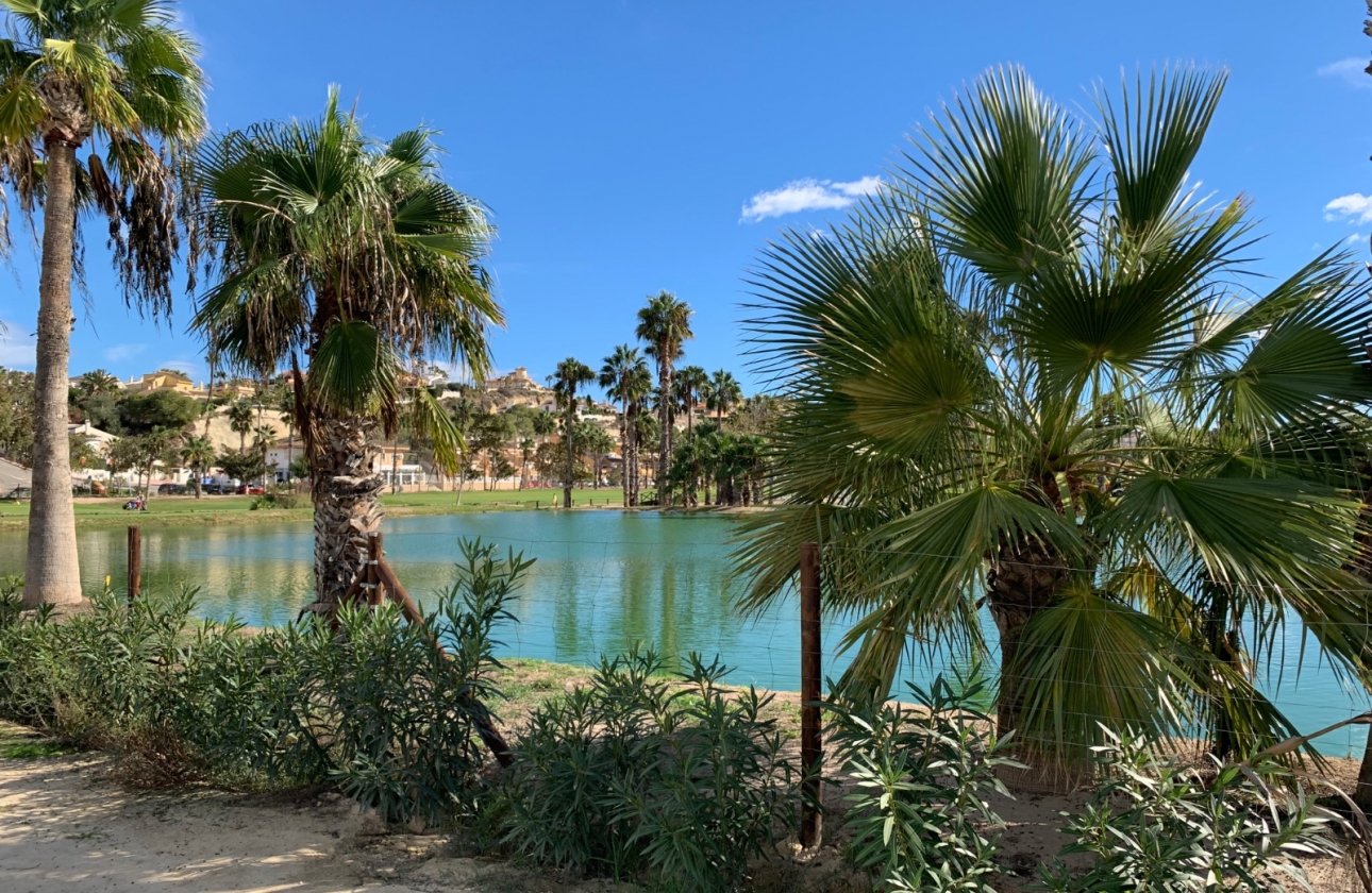 Revente - Villa - Ciudad Quesada - Rojales