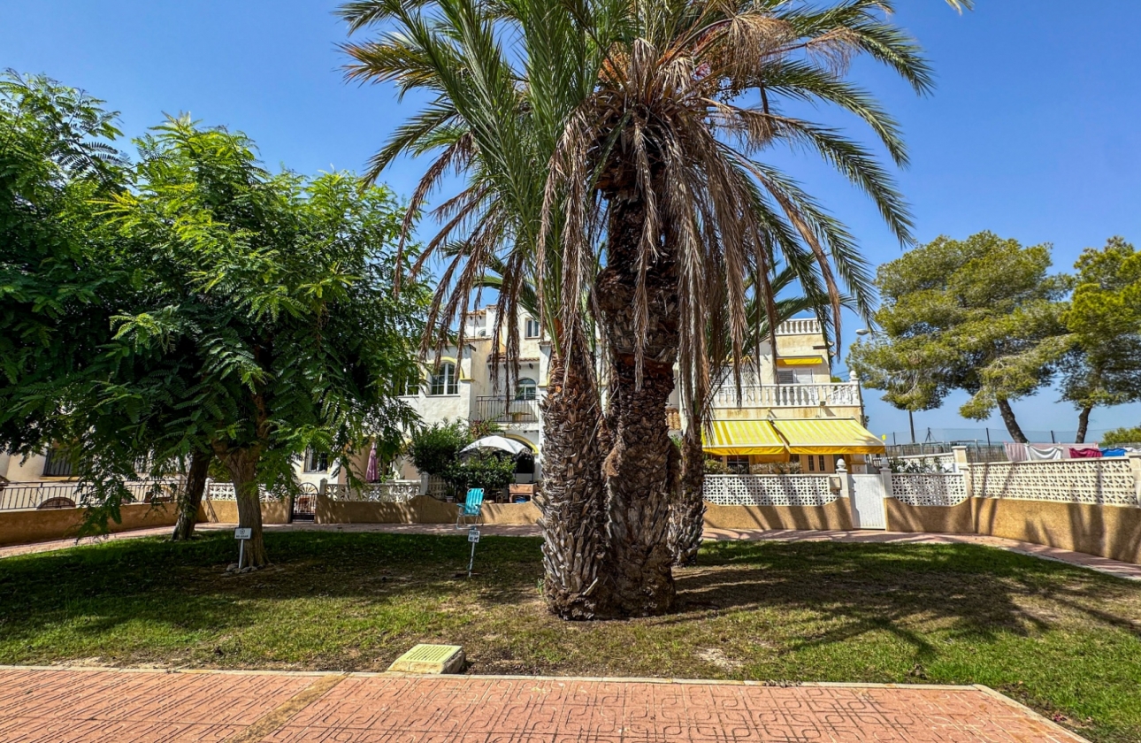 Revente - Maison - San Miguel de Salinas - Bellavista