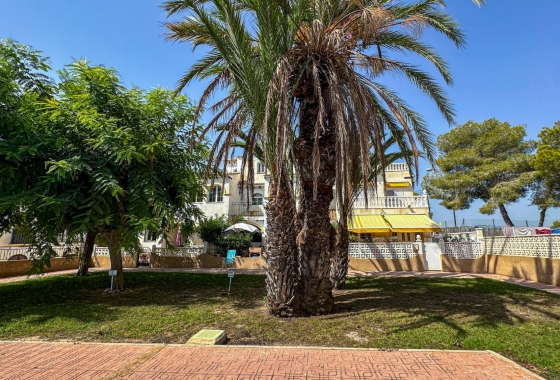 Revente - Maison - San Miguel de Salinas - Bellavista