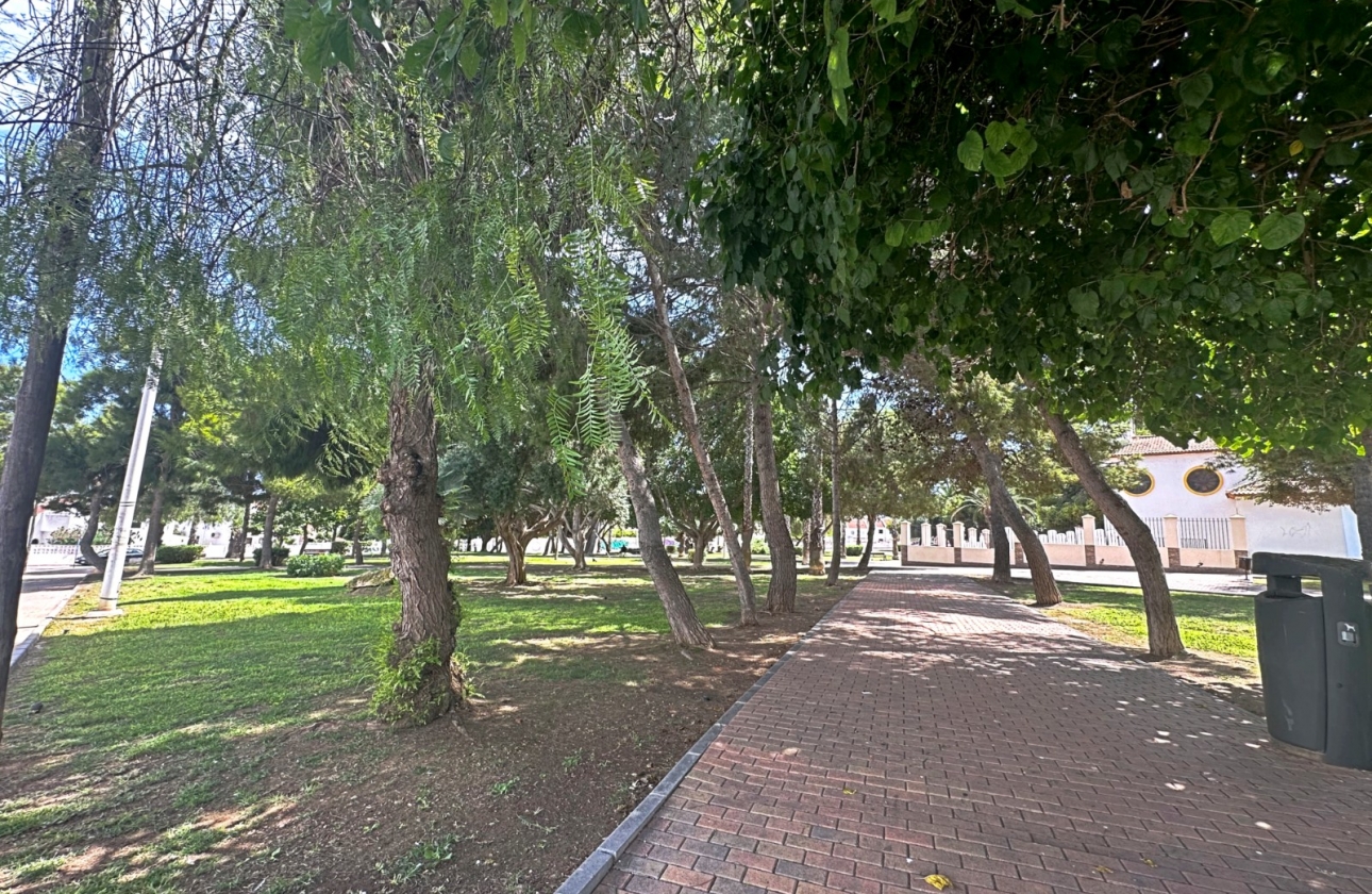 Reventa - Casa - Torrevieja - Torrevieja - Aguas Nuevas